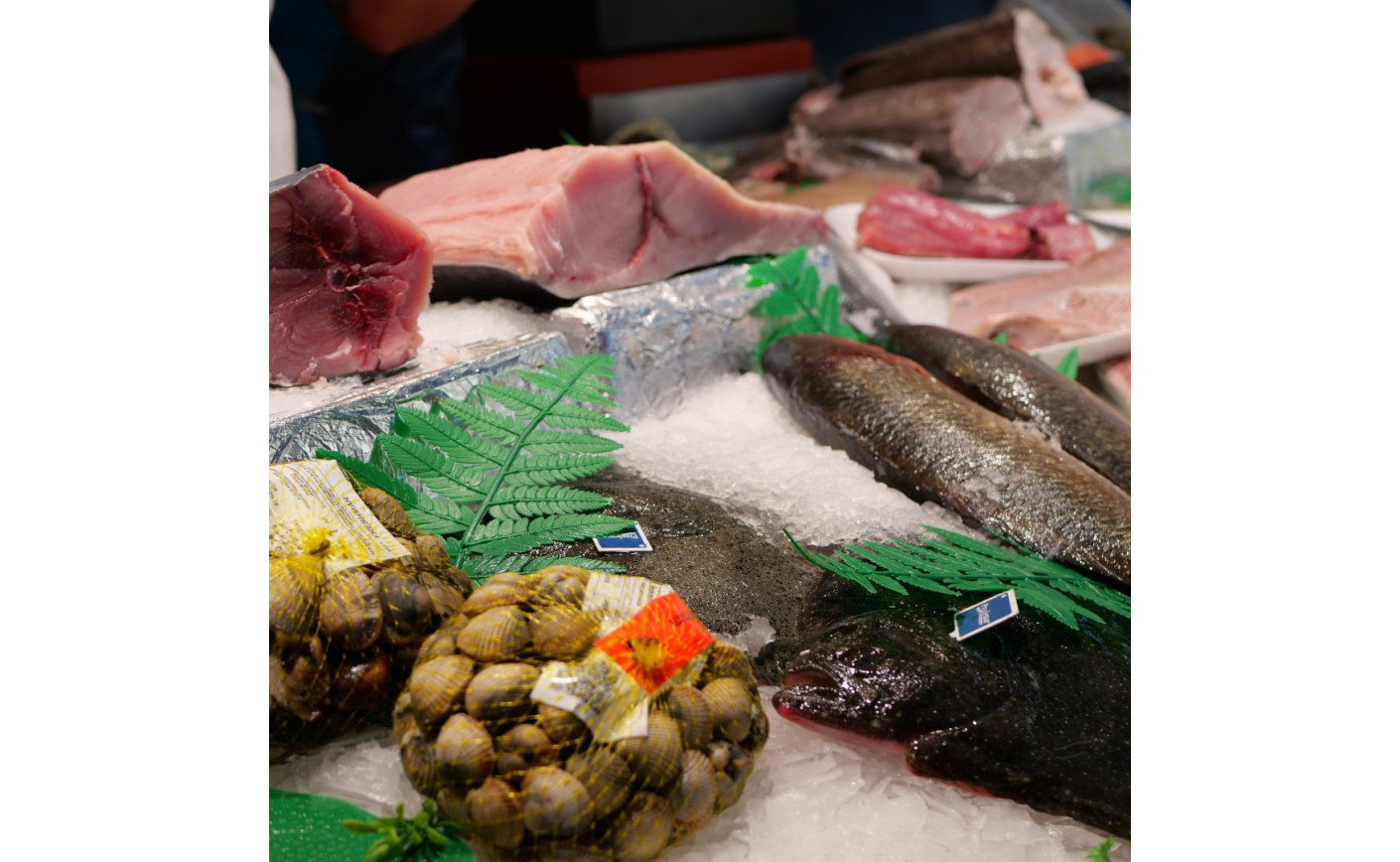 Freshmar: Tu Pescadería de Pescados y Mariscos Frescos en Aranda de Duero